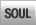 soul